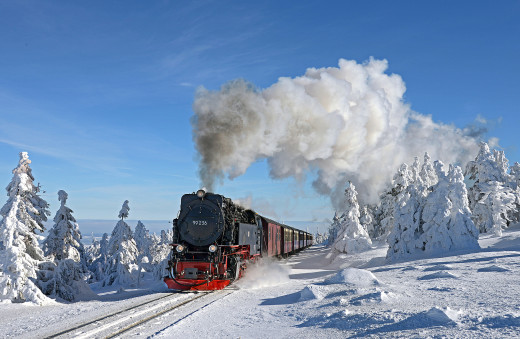 907258 (a): :2048x1333